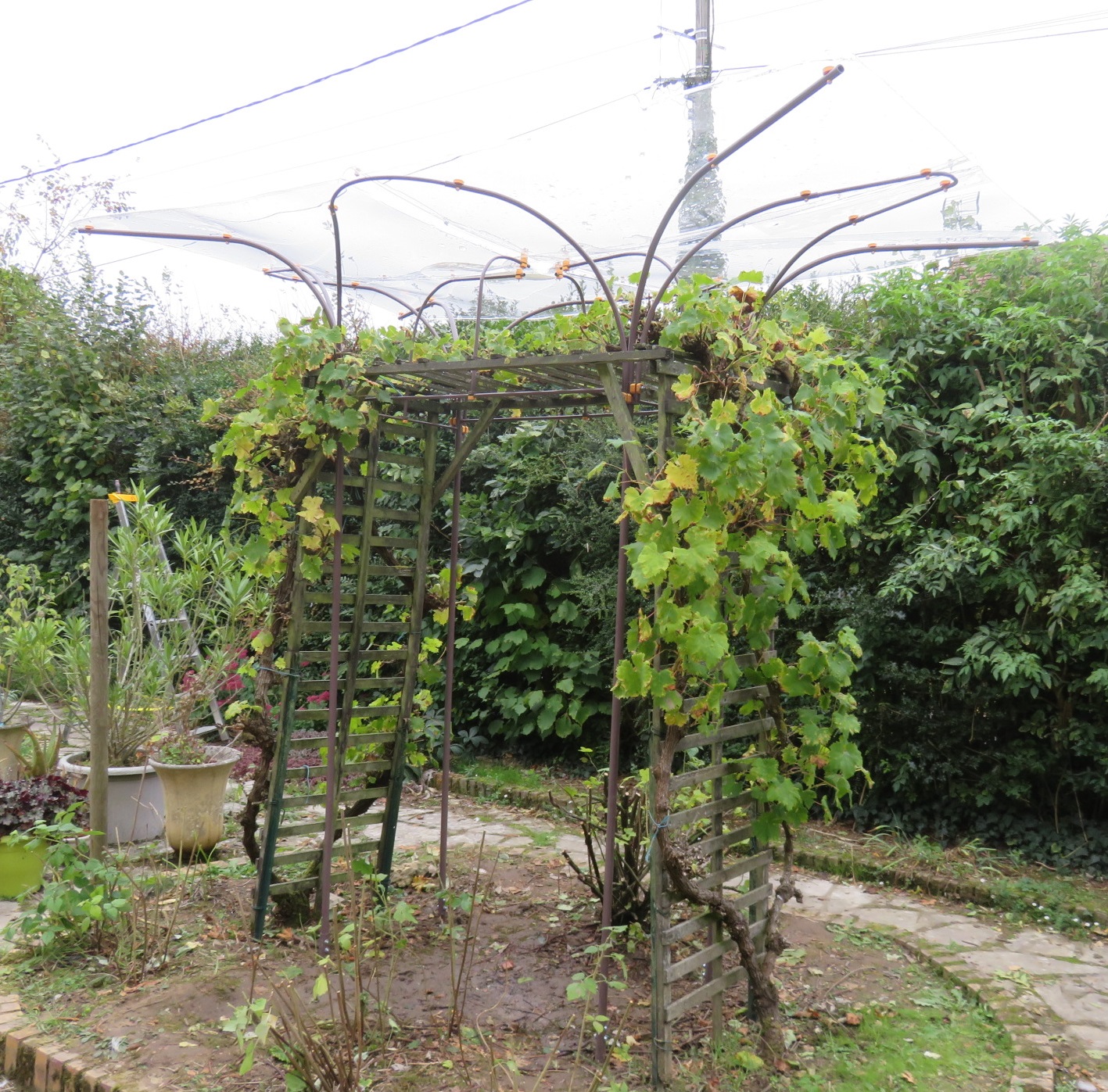 Dessin abri transparent droit